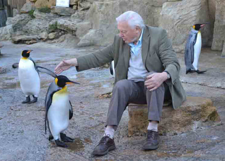 Bourton-on-the-Water Birdland Park & Gardens Sir David Attenborough