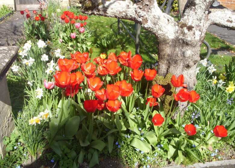 Manor Close Bed and Breakfast Bourton-on-the-Water